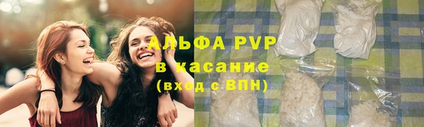 соль ск Новодвинск